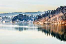 Obraz na płótnie sosna las panorama śnieg