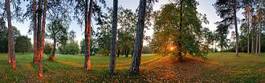 Plakat widok park panorama natura trawa