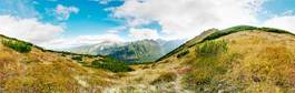 Obraz na płótnie trawa panorama góra wzgórze tatry