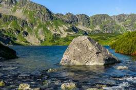 Naklejka las woda natura dolina widok