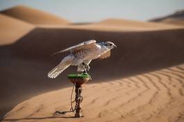 Plakat bezdroża pustynia ptak portret pejzaż