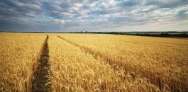 Obraz na płótnie wieś panorama zmierzch