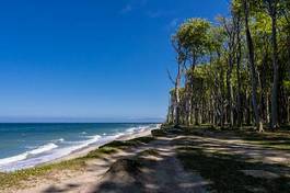 Plakat droga plaża woda wybrzeże