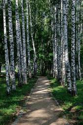 Fototapeta spokojny lato park pejzaż