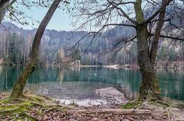 Naklejka ogród czechy natura