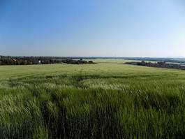 Plakat roślinność pastwisko pejzaż natura łąka