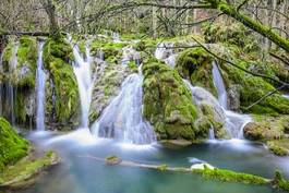 Naklejka las mech góra natura krajobraz