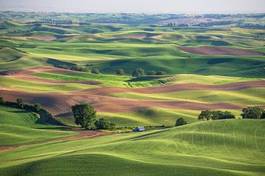 Plakat wheat fields in palouse washington state