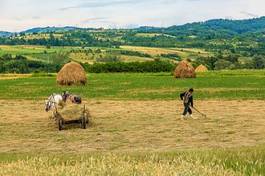 Fotoroleta farmer working on his land with cart and horses on background