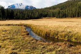 Naklejka upper meadow im lassen volcanic national park