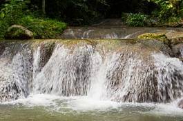 Plakat beautiful waterfall in forest