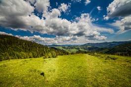 Plakat lato austria panorama koń