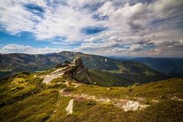 Naklejka natura panorama las klif