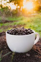 Obraz na płótnie natura cappucino wzór jedzenie kawa