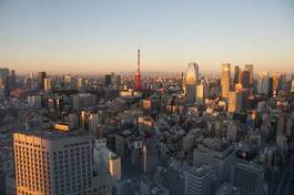 Obraz na płótnie fuji tokio tokyo tower