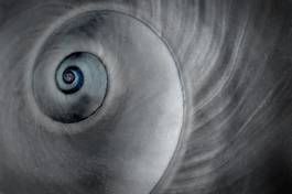 Plakat spirala morze wellnes