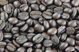 Obraz na płótnie jedzenie rolnictwo kawa