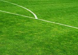 Obraz na płótnie trawa boisko pole piłka nożna zielony