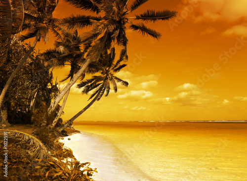Plakat słońce natura morze wyspa południe