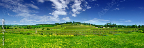 Plakat trawa rolnictwo pejzaż panorama