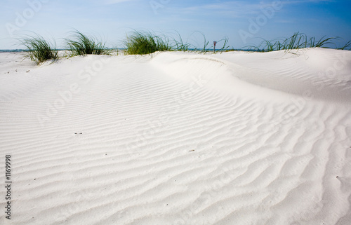 Naklejka park plaża wydma morze pejzaż