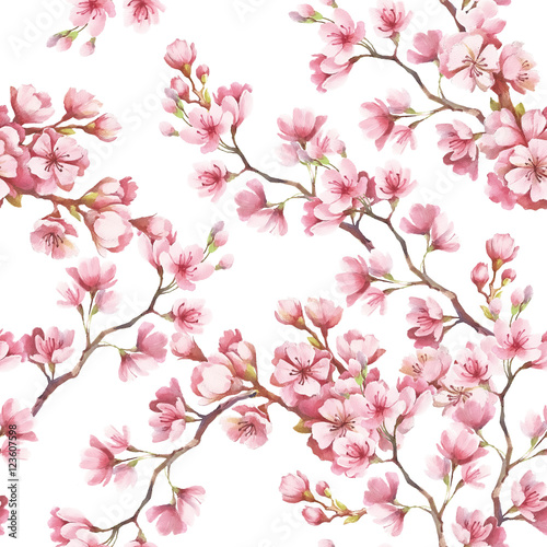 Fotoroleta Seamless pattern with cherry blossoms. Watercolor illustration.