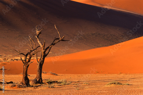 Naklejka słońce natura spokojny pejzaż pustynia