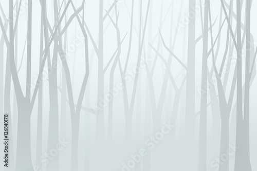 Plakat Foggy forest. Vector illustration