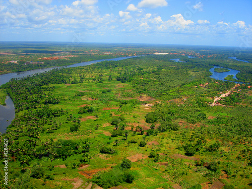 Fototapeta brazylia natura dziki