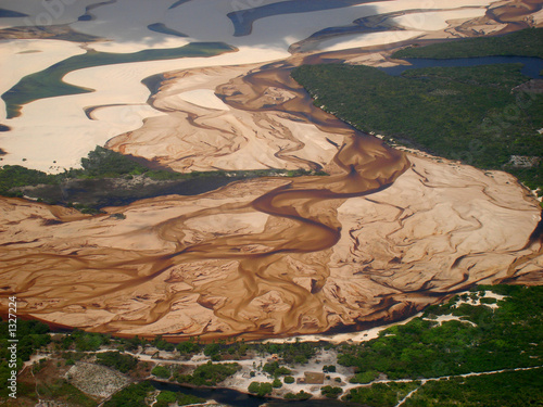 Plakat las wydma brazylia tropikalny amazonka