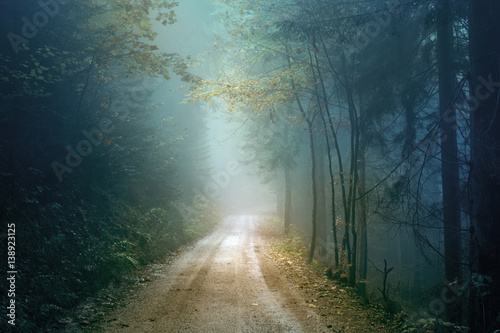 Naklejka Magic autumn color foggy forest road. Scary dark blue green colored countryside woodland.