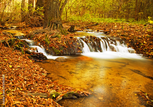 Fototapeta pejzaż natura drzewa europa świat