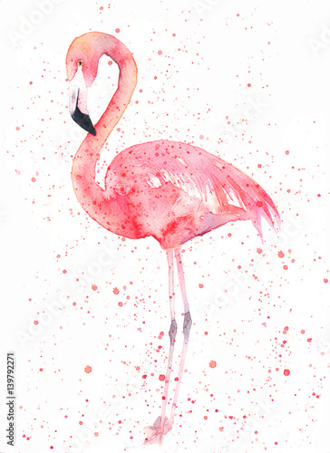 Obraz na płótnie flamingo sztuka egzotyczny