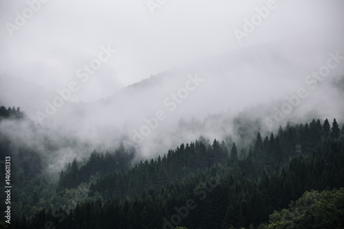 Naklejka drzewa natura góra pejzaż