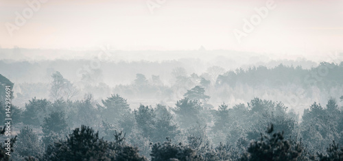 Fotoroleta las natura park wzgórze pejzaż