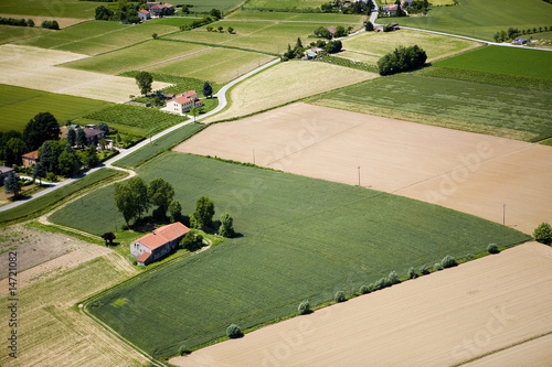 Naklejka natura widok pole drzewa