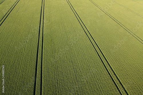 Naklejka pole widok niebo zboże traktor