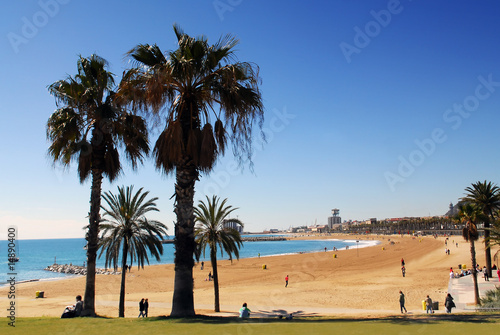 Plakat mężczyzna miejski hiszpania barcelona natura