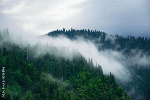 Fotoroleta lato sztorm natura