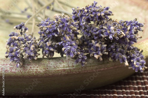 Fototapeta jesień aromaterapia olej