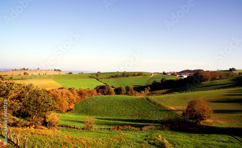 Obraz na płótnie pole jesień wiejski rolnictwo