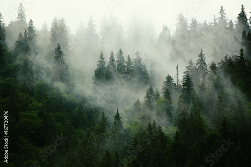 Fotoroleta park pejzaż natura widok góra