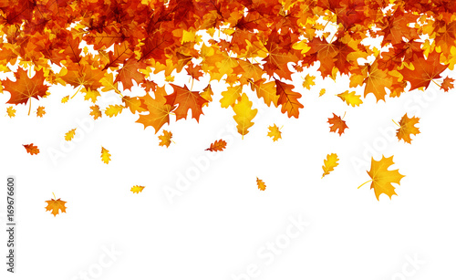 Obraz na płótnie jesień wzór dąb piękny