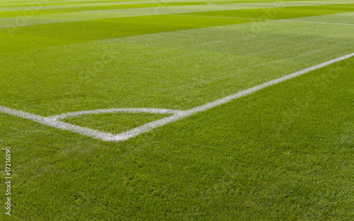 Naklejka trawa stadion piłka nożna boisko pole