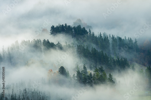 Obraz na płótnie widok natura góra las