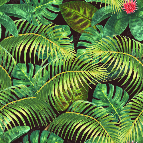 Plakat dżungla egzotyczny wzór modny
