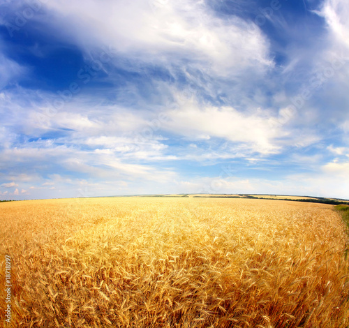 Plakat natura pejzaż lato krajobraz roślina