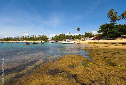 Fototapeta lato tropikalny brazylia plaża