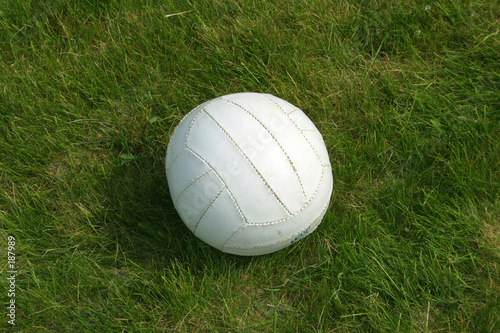Obraz na płótnie trawa sport piłka siatkówka