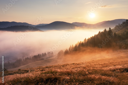 Fotoroleta dżungla natura lato dolina wzgórze